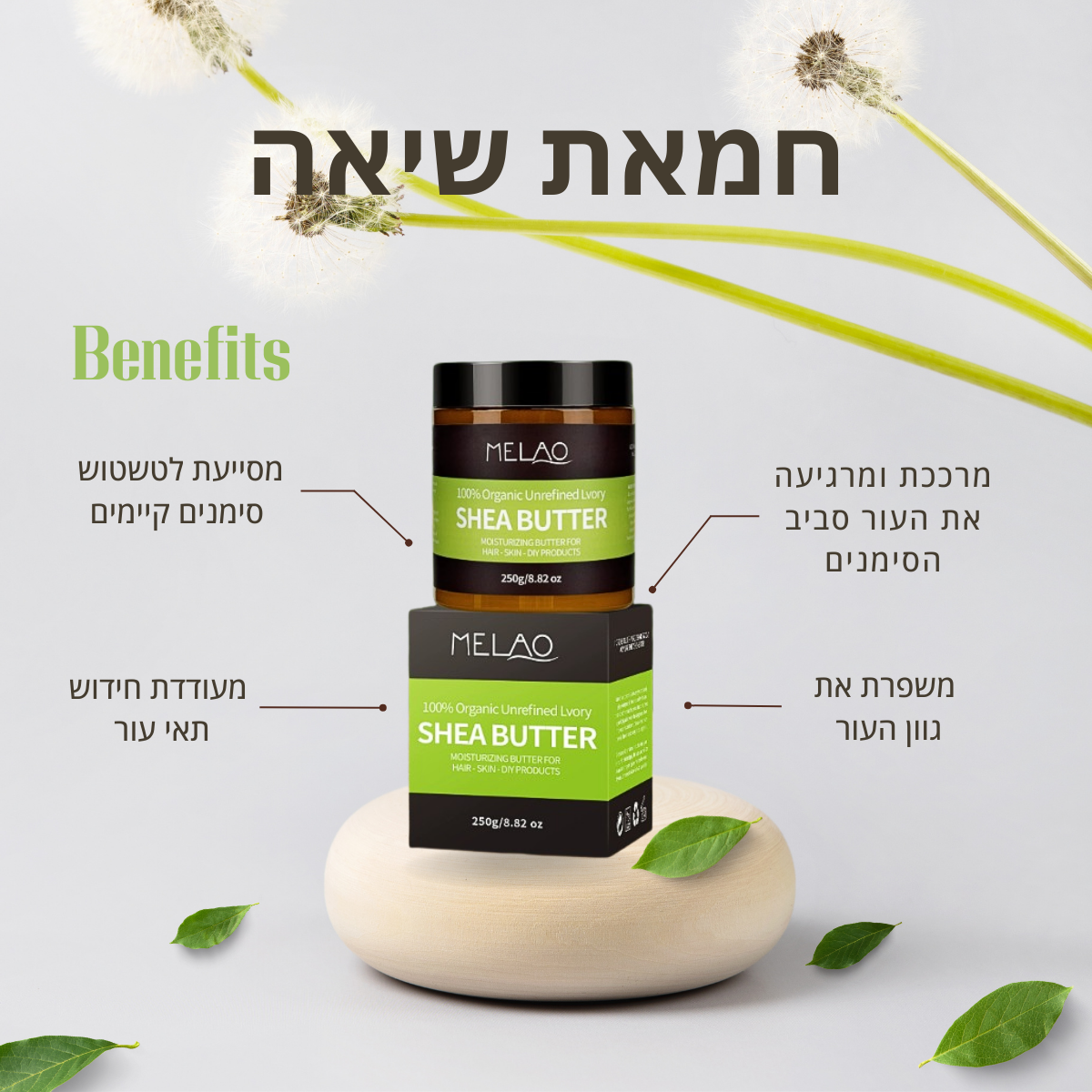 הערכה לטשטוש סימני מתיחה שכולן מדברות עליה